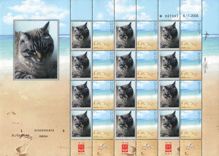 ��� ������ (������ 31 ����� 2009 �.)
